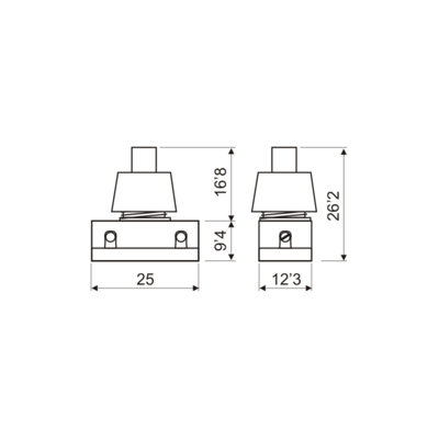 DH PULSADOR 2A/250V