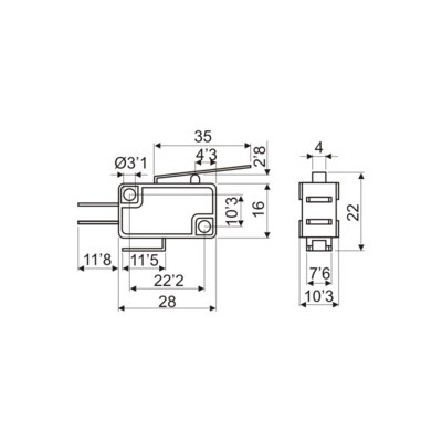 DH MICROINTERRUPTOR CON PALANCA