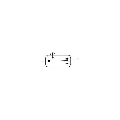 DH MICROINTERRUPTOR CON PALANCA