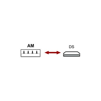 DH CONEXIÓN USB A MACHO A CONECTOR PARA DS