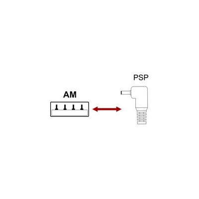 DH CONEXION USB-A MACHO A CONECTOR PARA PSP