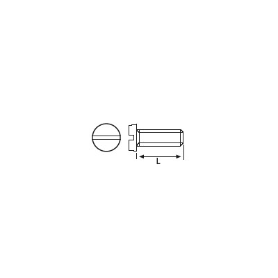 TORNILLOS (M 2,5 XXX), 100 ud